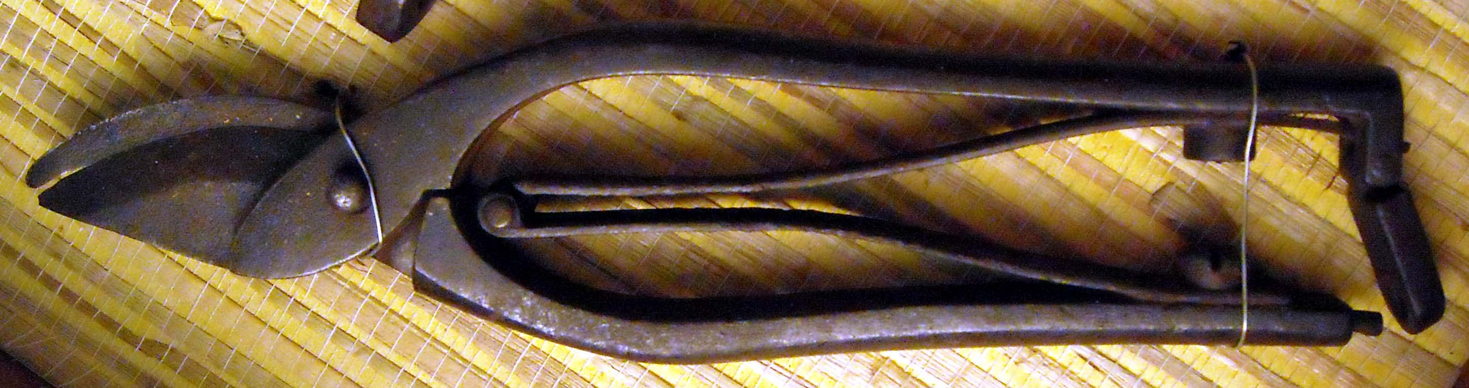 pfiche200