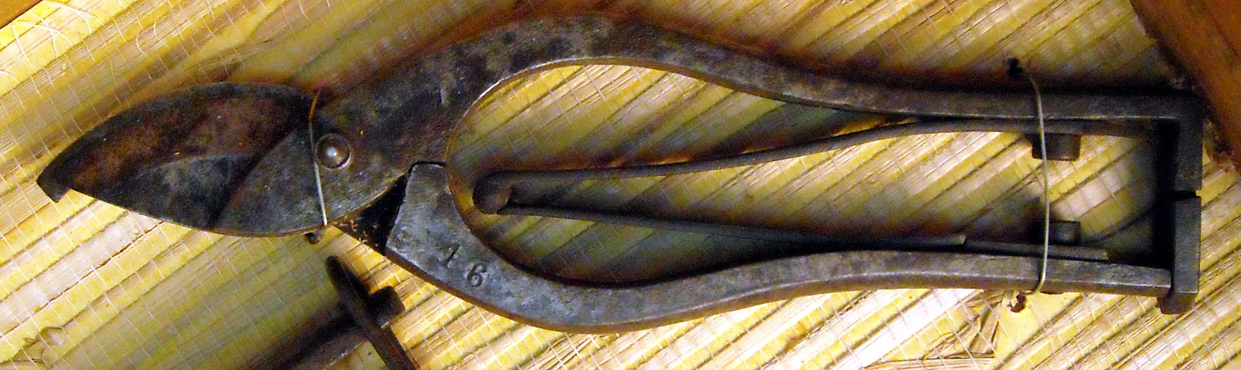 pfiche203