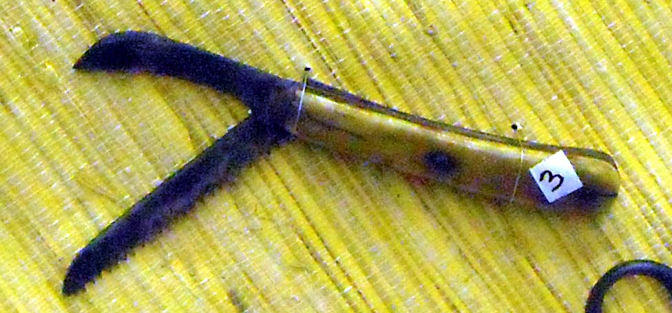 pfiche208