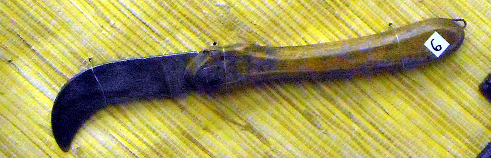 pfiche209