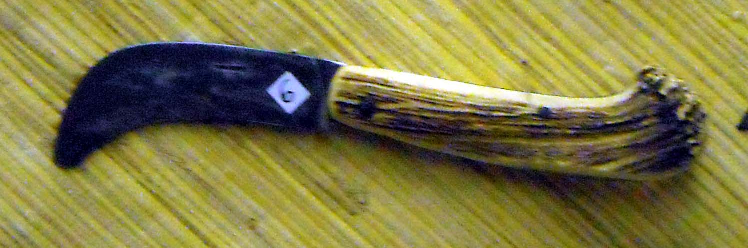 pfiche210