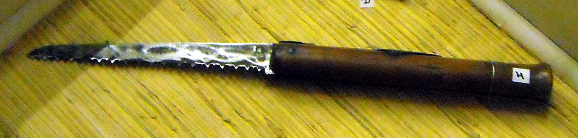 pfiche215