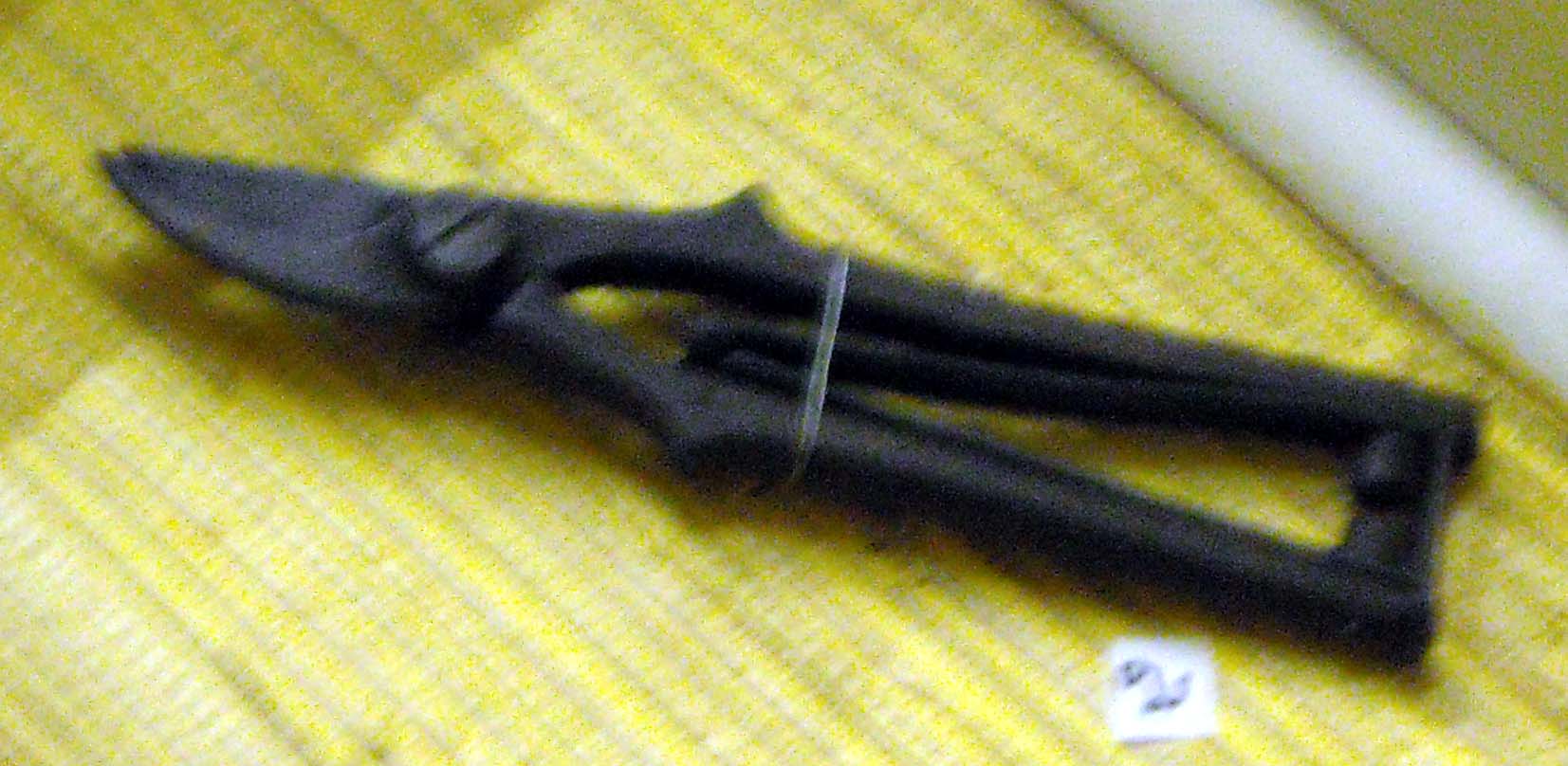 pfiche216