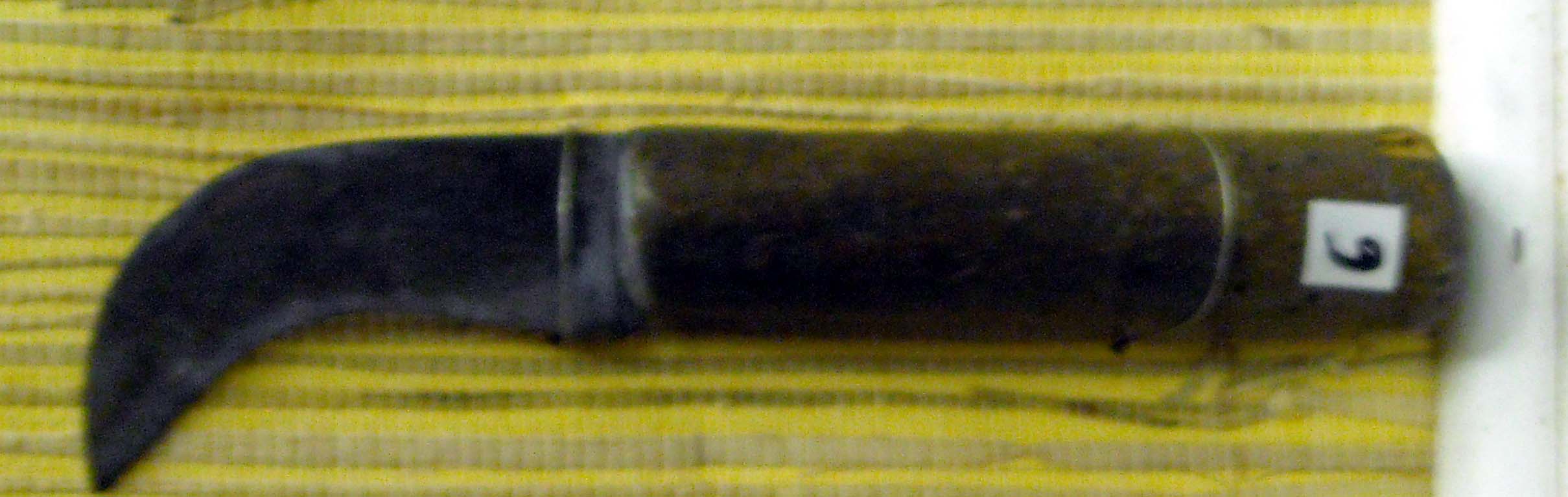 pfiche217