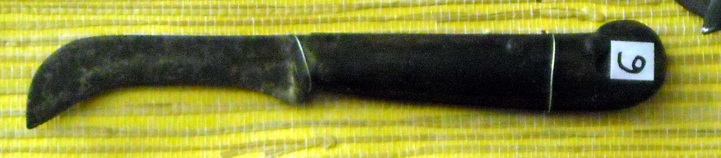 pfiche218