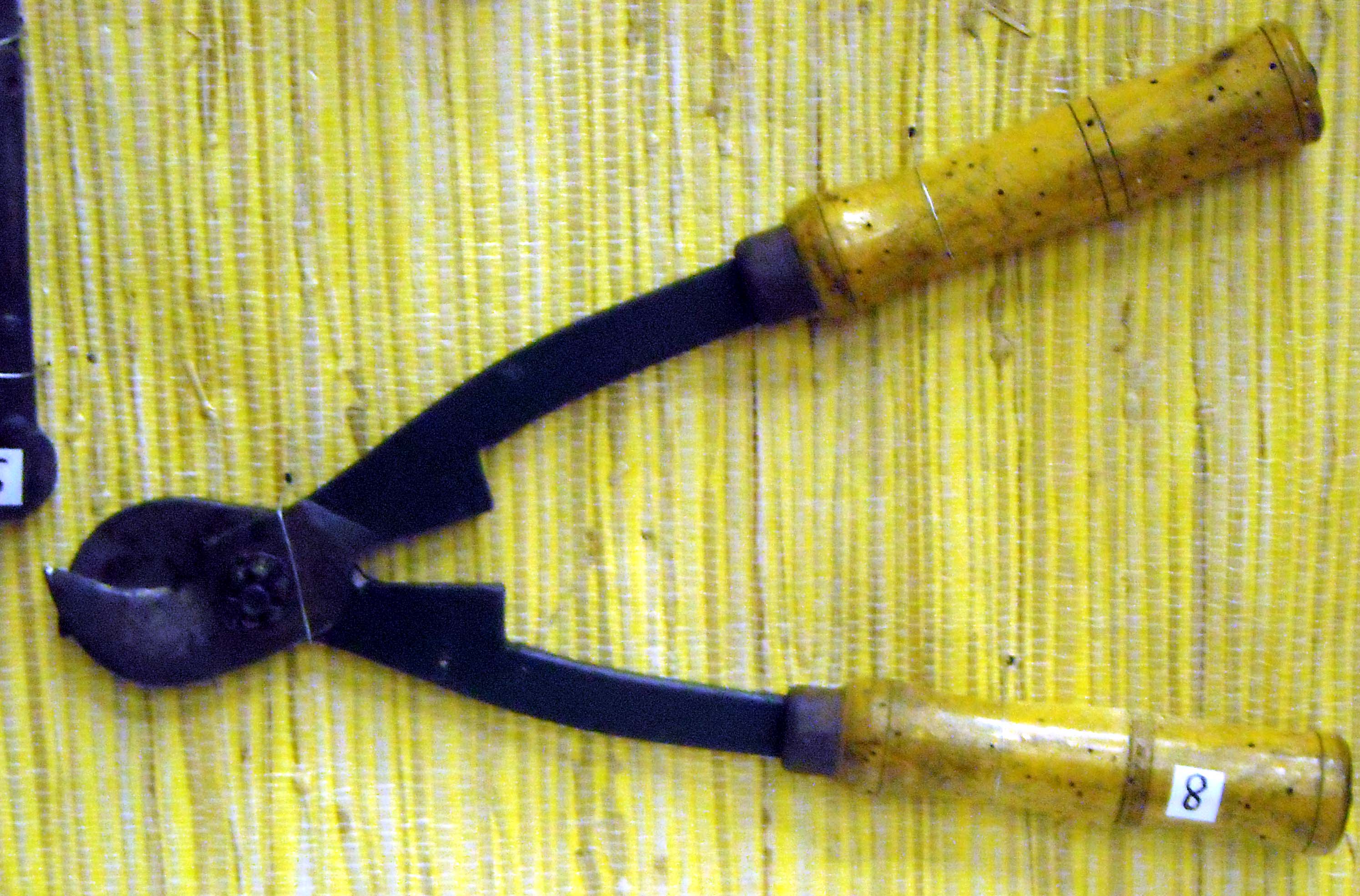 pfiche219