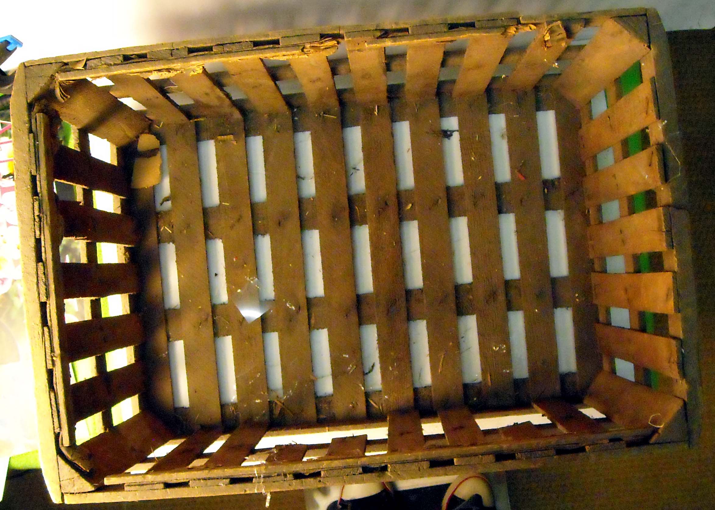 pfiche220 (1)