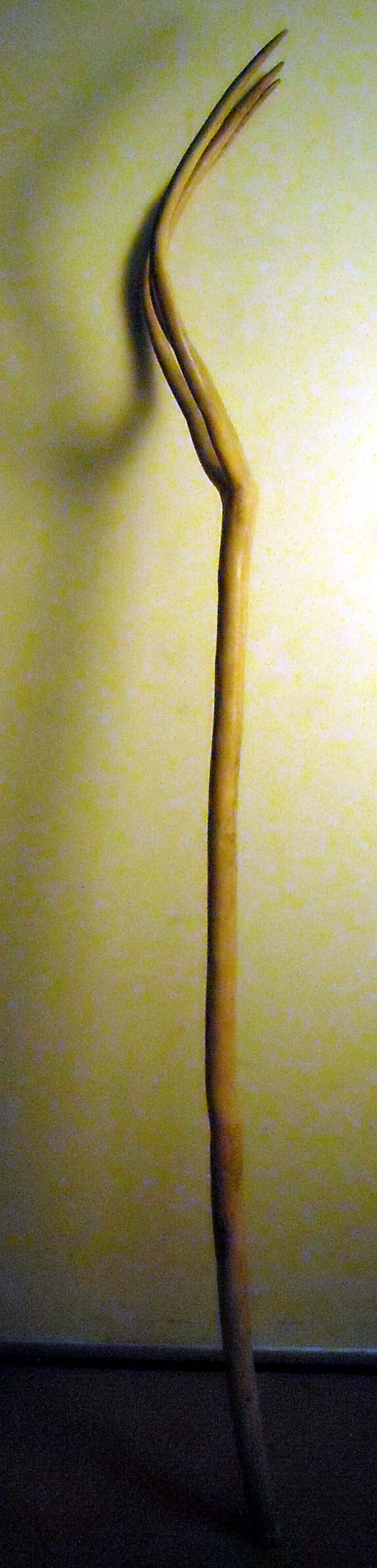 pfiche227 (1)