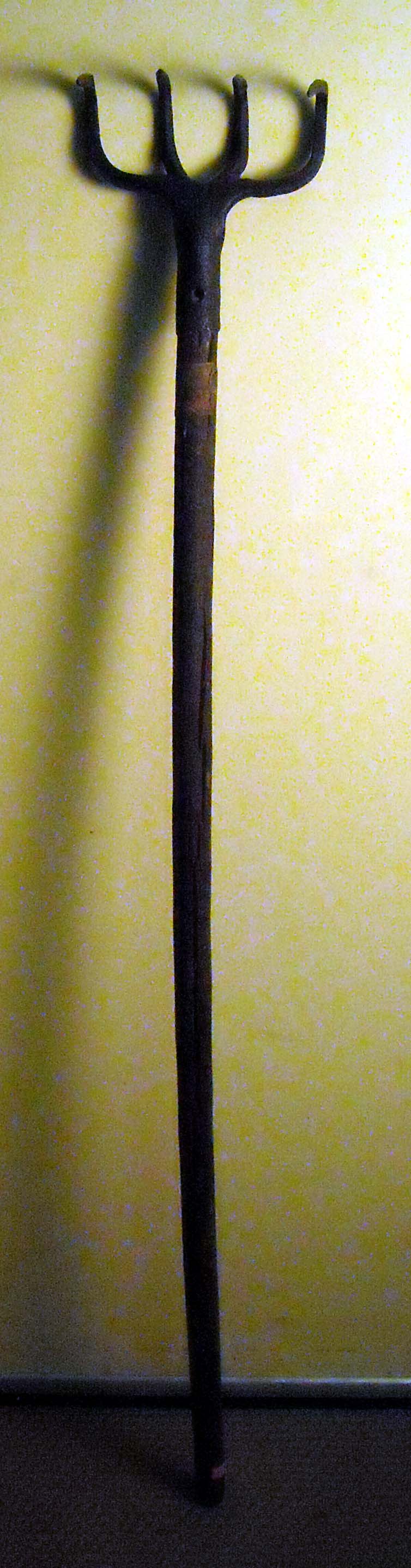 pfiche229