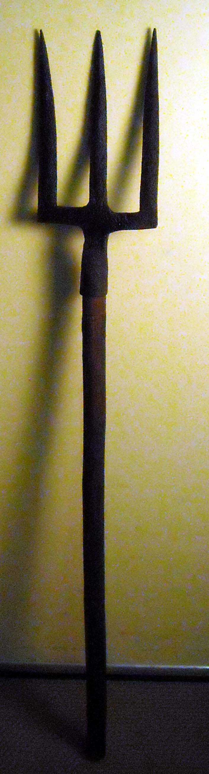 pfiche230