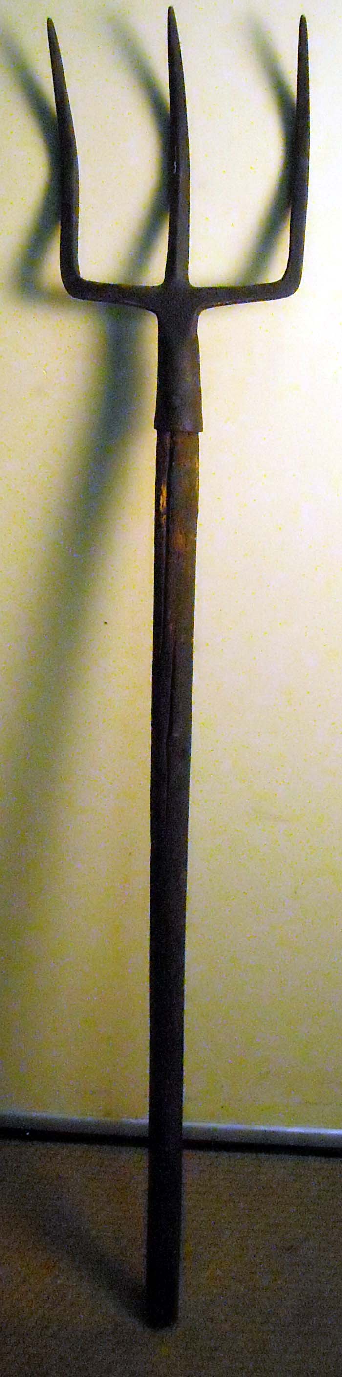pfiche231