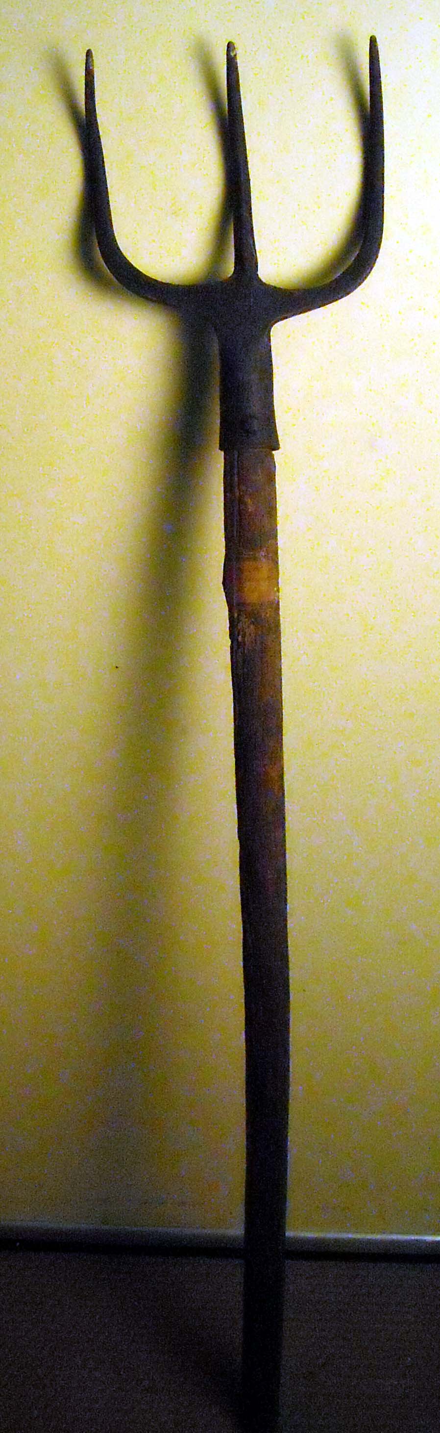 pfiche242