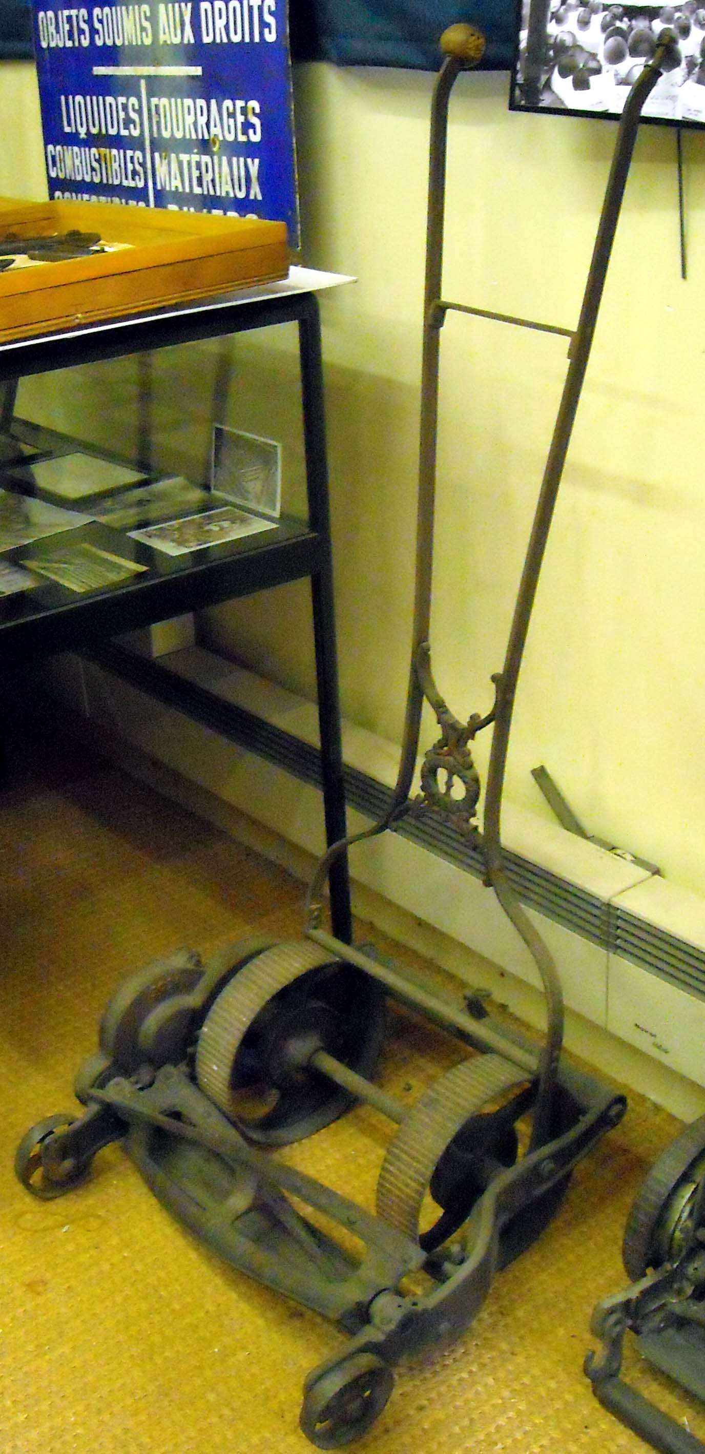 pfiche244