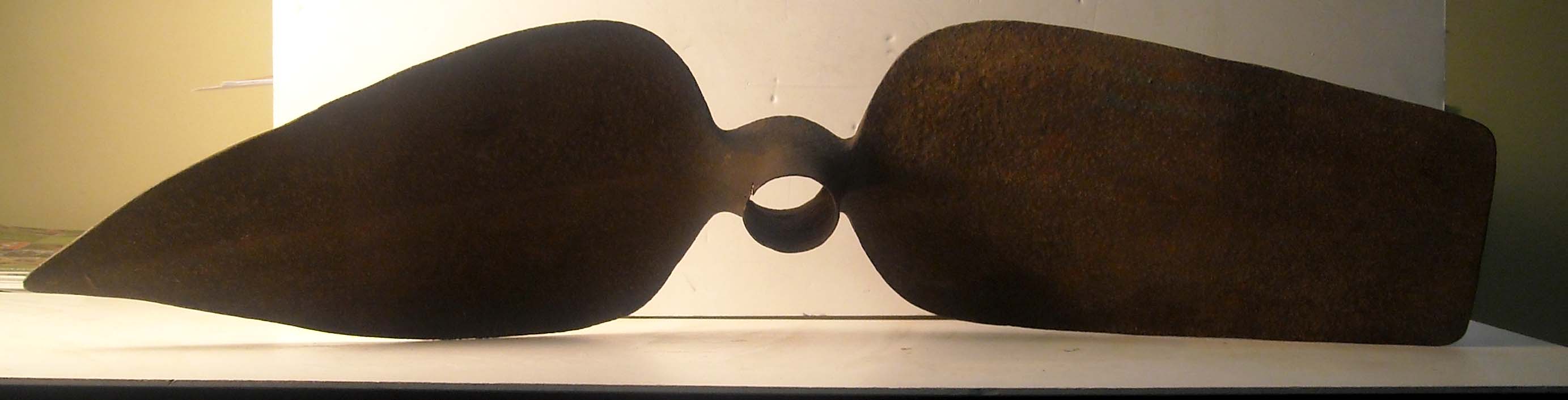 pfiche250 (1)