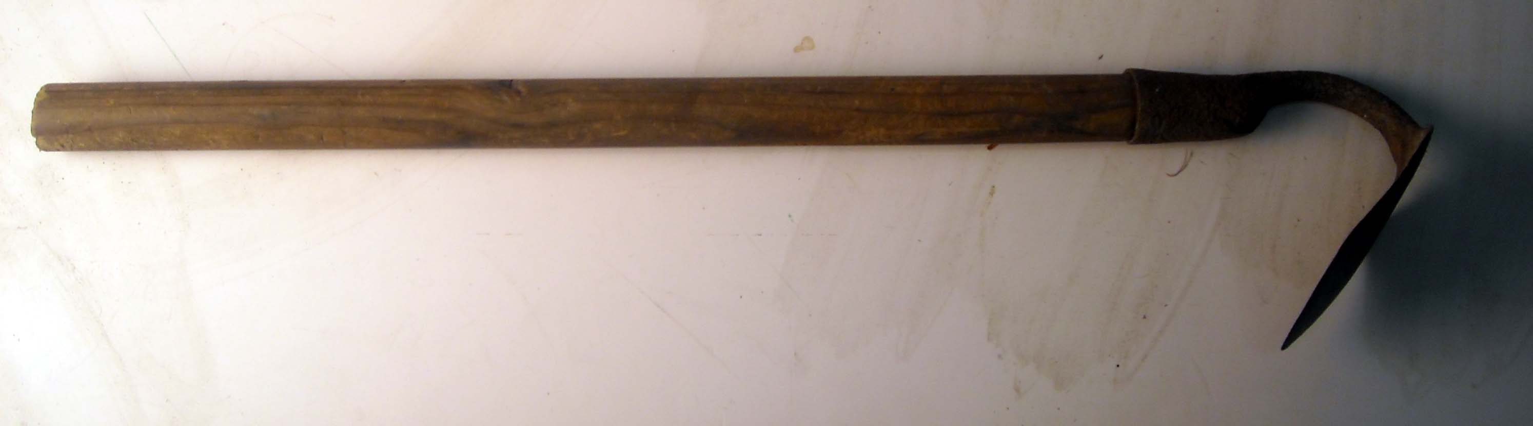 pfiche251