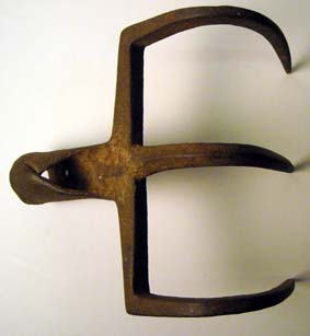 pfiche36