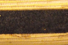 pfiche181
