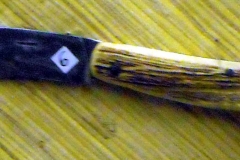 pfiche210