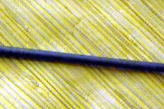 pfiche212