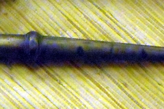 pfiche213