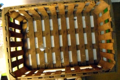 pfiche220 (1)