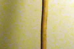 pfiche227 (1)
