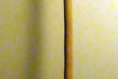pfiche227