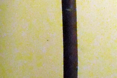 pfiche229 (1)