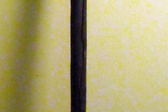 pfiche229