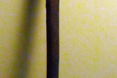 pfiche230