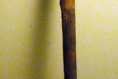 pfiche242