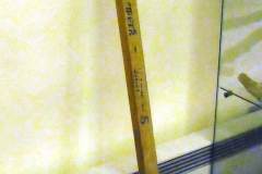 pfiche245