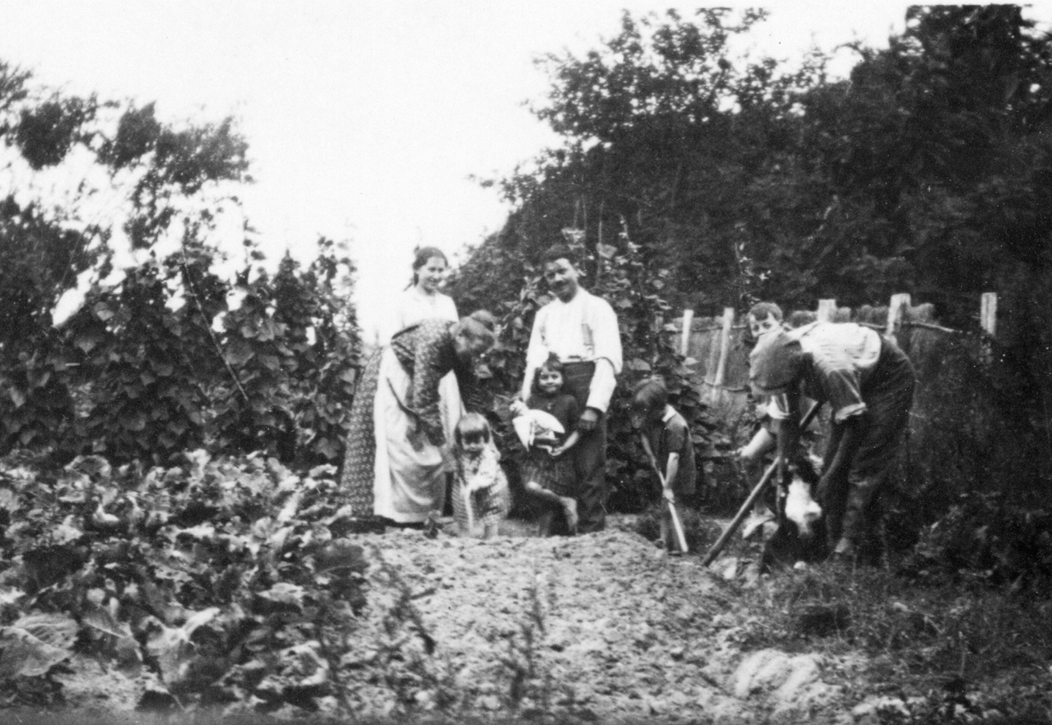 VASSOUTgambais