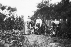VASSOUTgambais