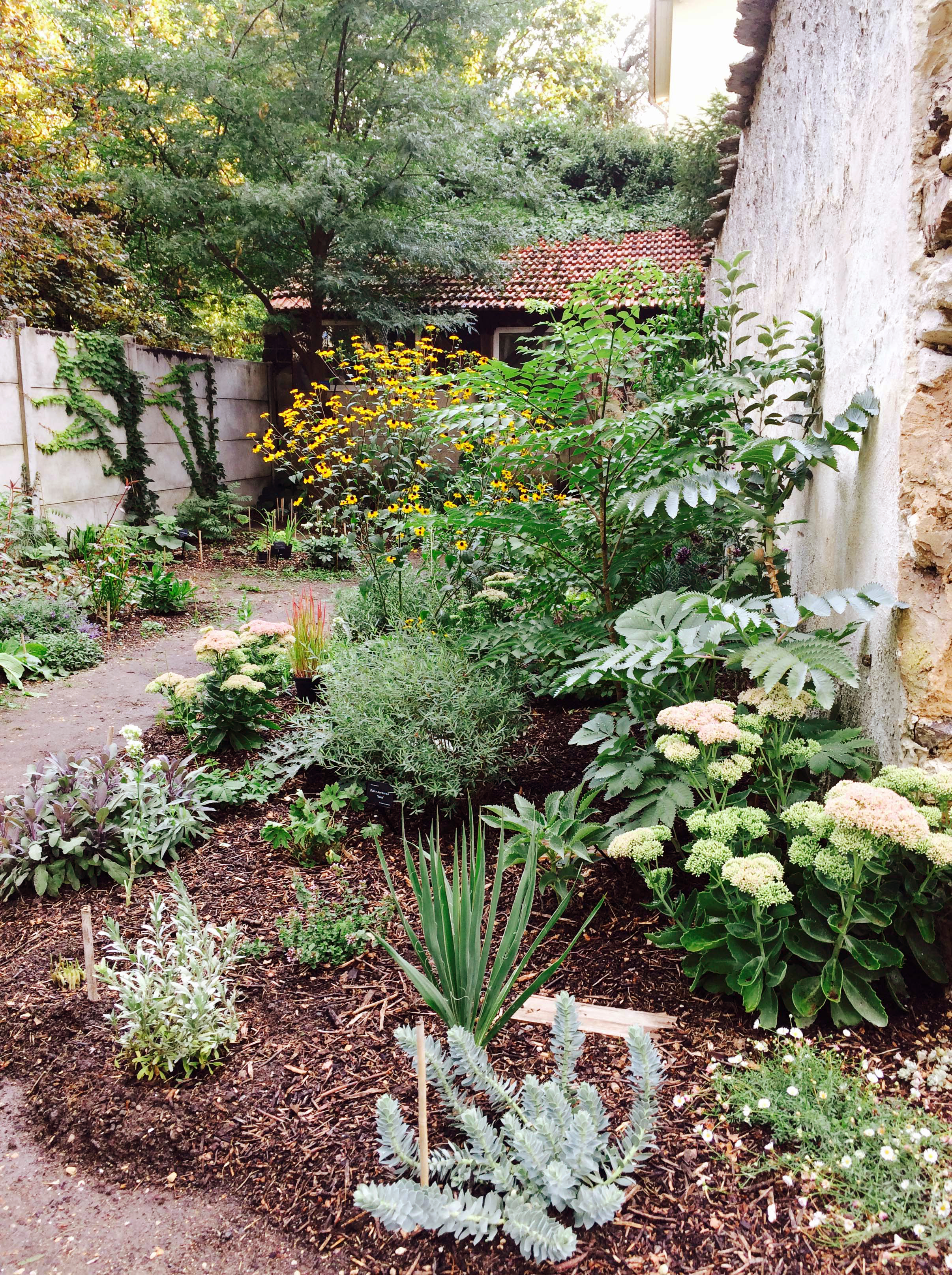 Jardin-Pépinière 2