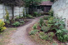 le jardin en juillet 2018